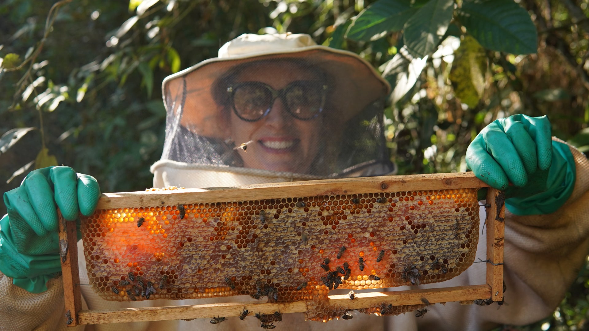 Mel Artesanal no Vidro - 100% Puro - Florada do Café