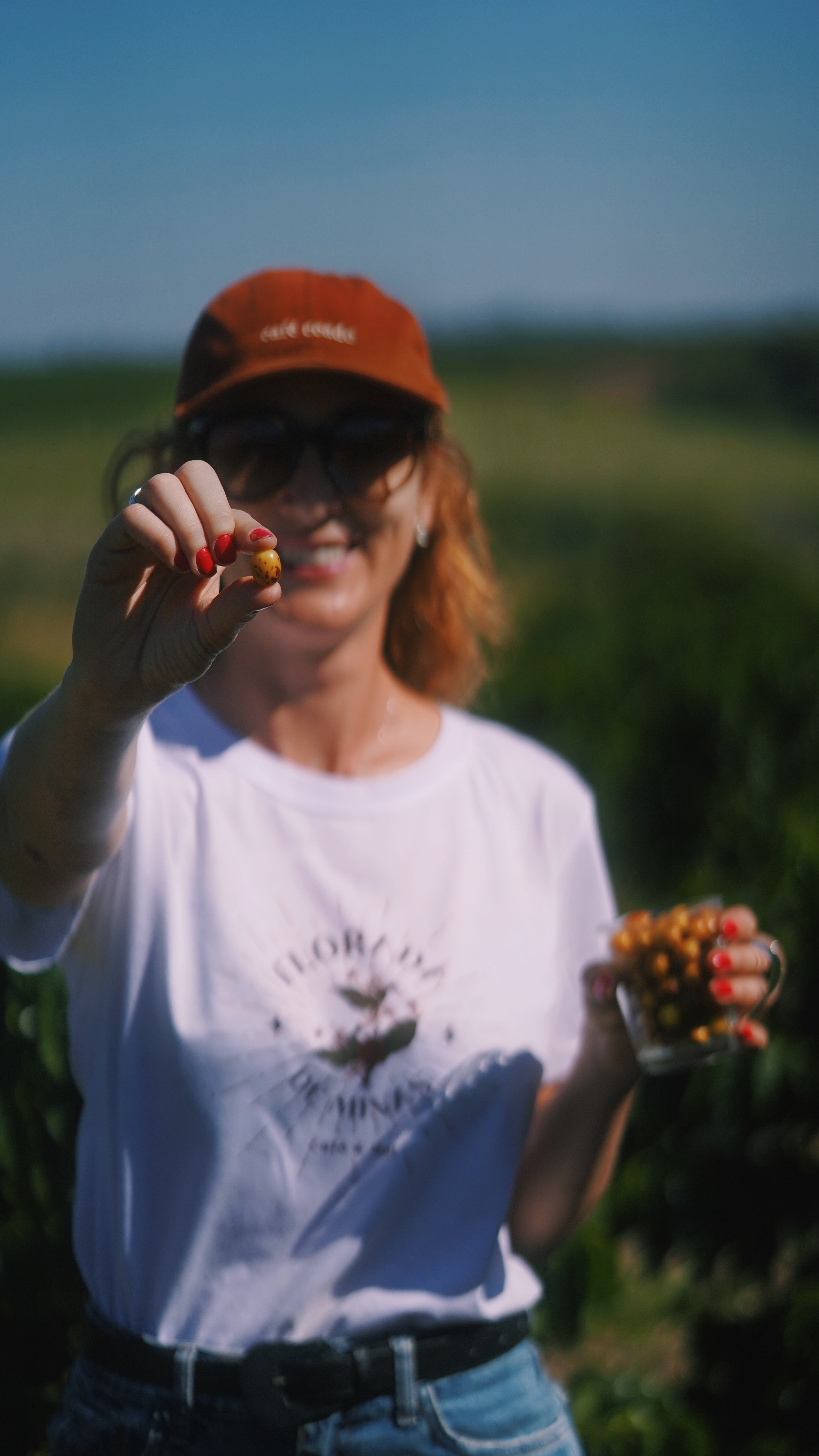 Foto Lavoura de Cafe Especial Graos Arara